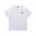 Arc'teryx Kragg T-shirt White